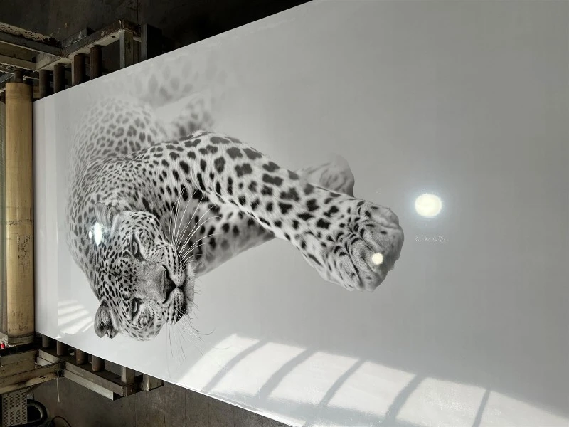 animal 3D animal 3D